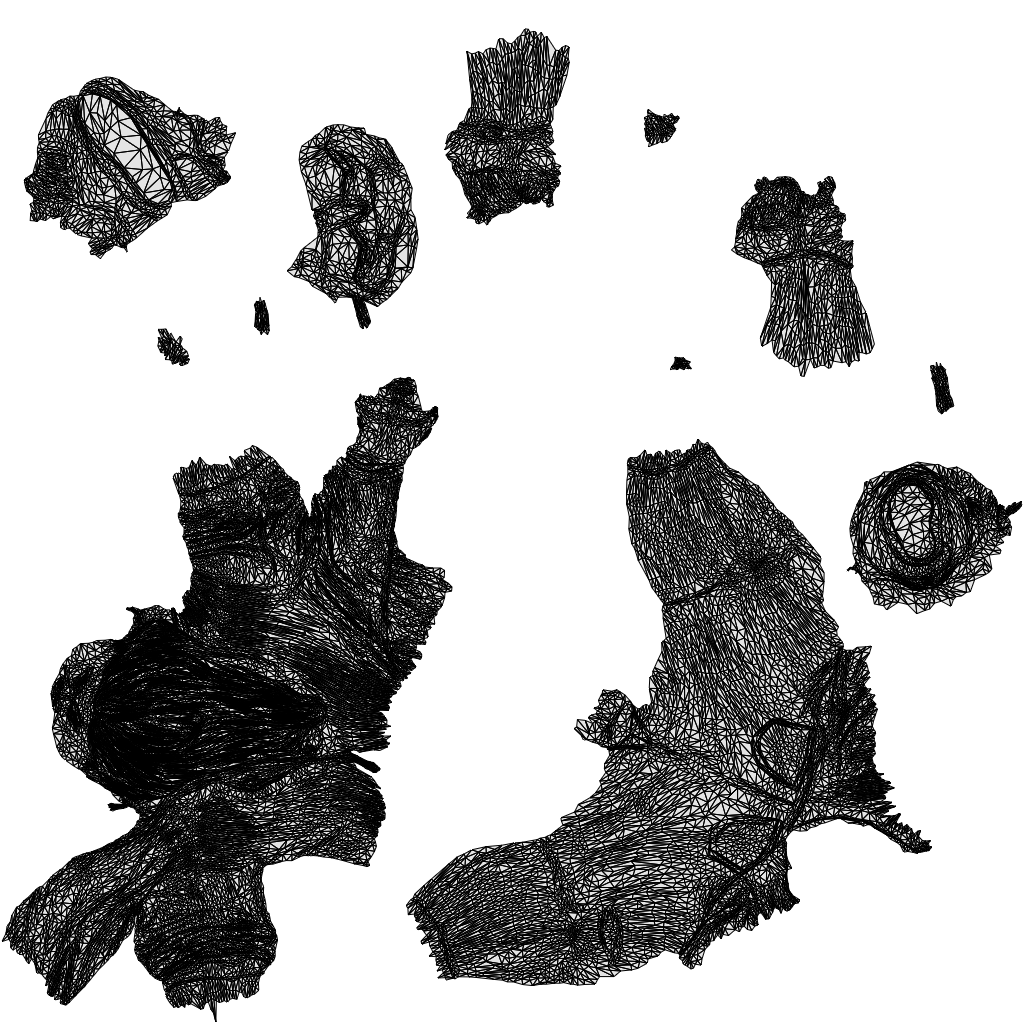 00295Elsje0013