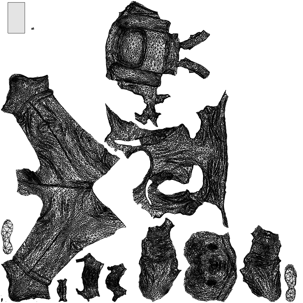 3D people model man casual standing, scanned human for 3ds Max rendering, wireframe top-down view