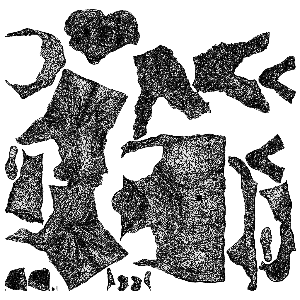 3D people model woman casual cycling, scanned human for 3ds Max rendering, wireframe top-down view