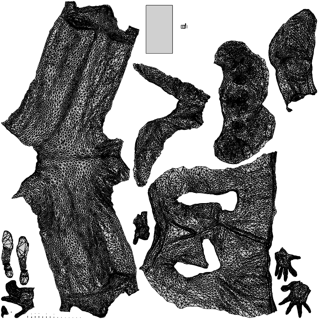 3D people model woman business, scanned human for 3ds Max rendering, wireframe top-down view