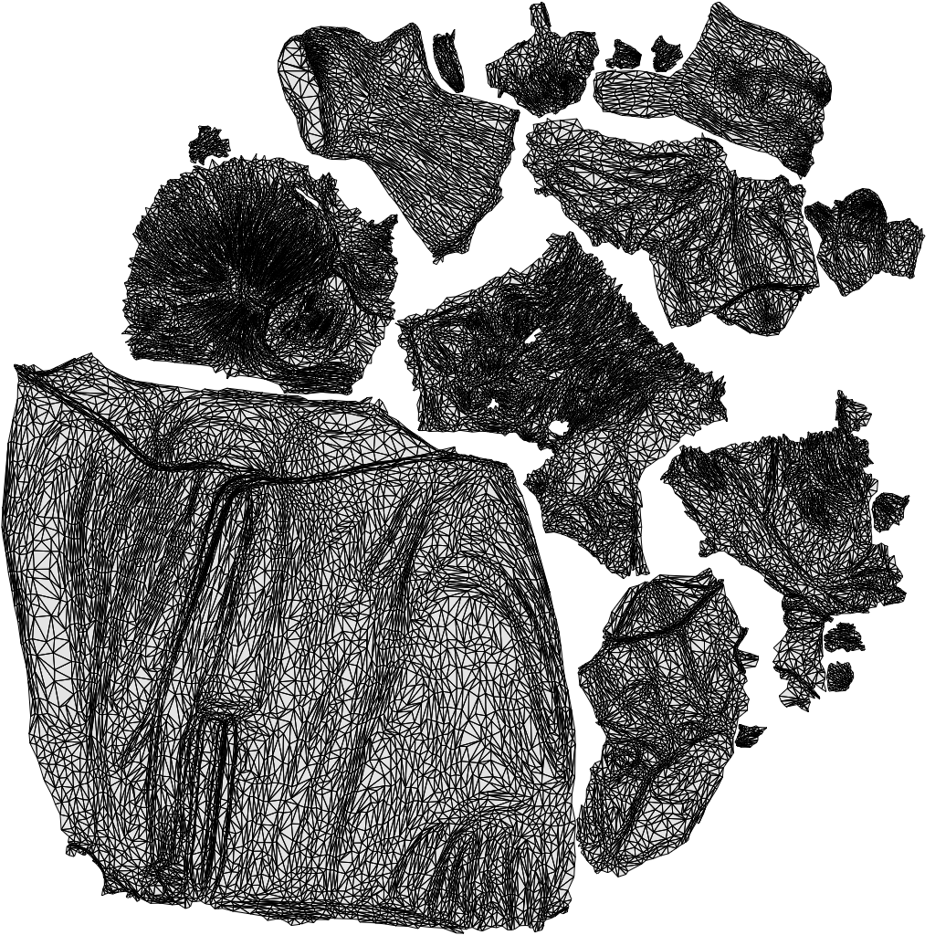 scanned 3D woman casual sport, photogrammetry people for Enscape and V-Ray, wireframe top-down view