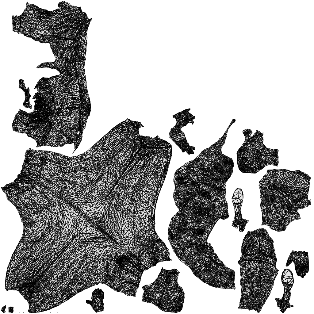 3D people model woman casual standing, scanned human for 3ds Max rendering, wireframe top-down view