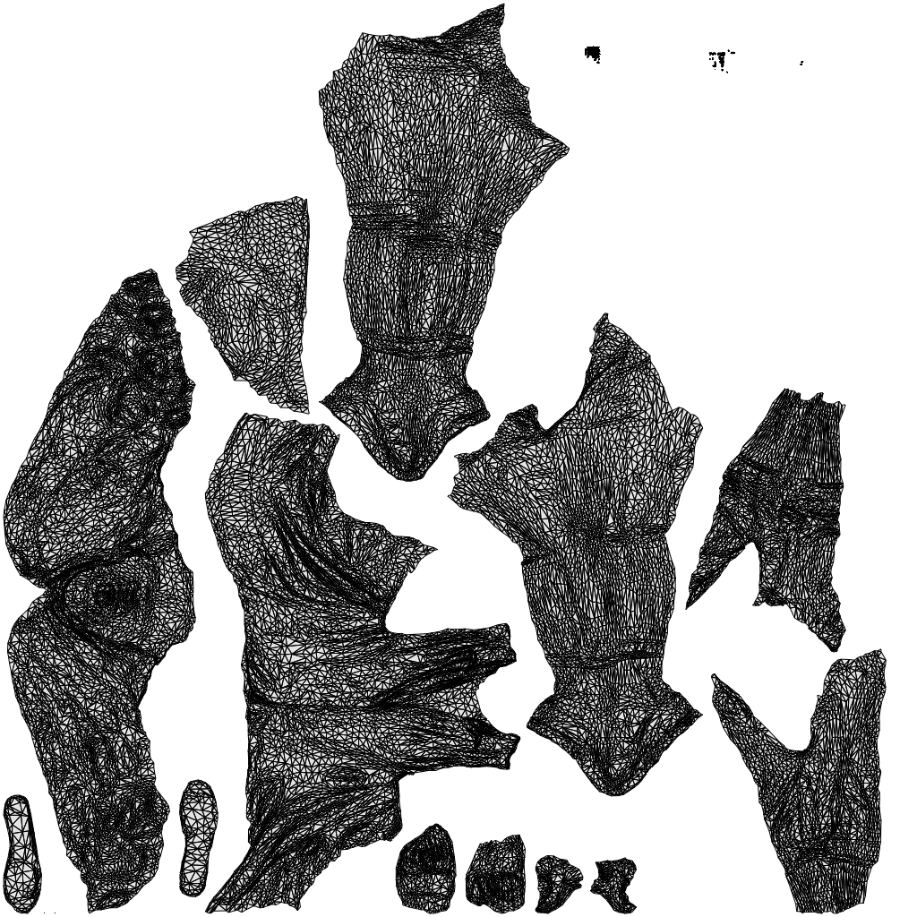 3D scanned woman cycling, photorealistic archviz people for Enscape and SketchUp, wireframe top-down view