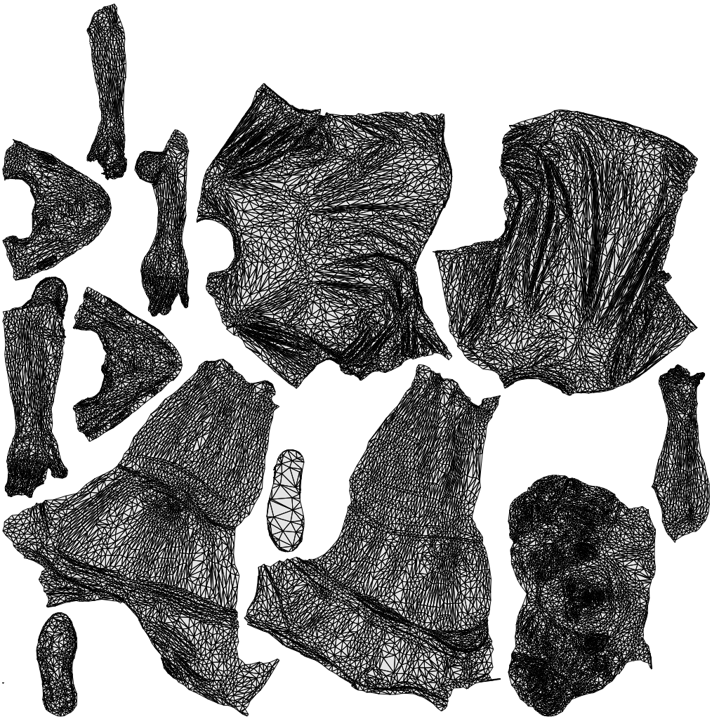 realistic 3D woman sport, scanned archviz people for Blender and 3ds Max, wireframe top-down view