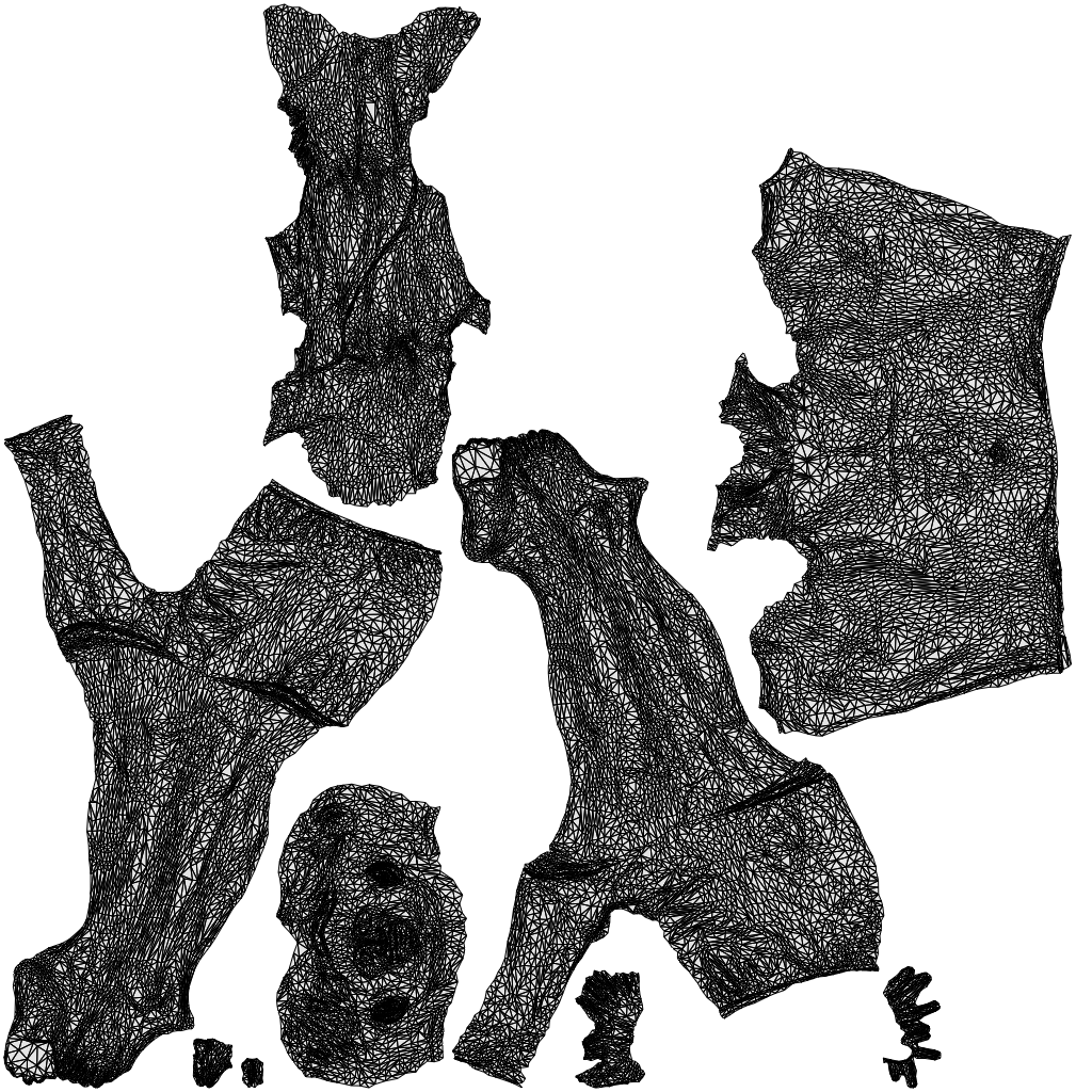 3D people model man pool, scanned human for 3ds Max rendering, wireframe top-down view