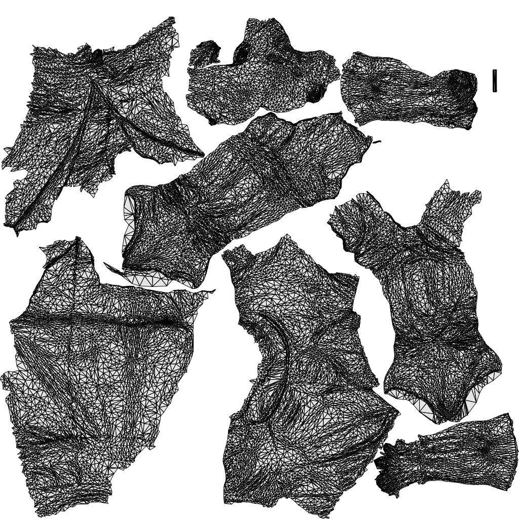 3D scanned man standing, photorealistic archviz people for Enscape and SketchUp, wireframe top-down view