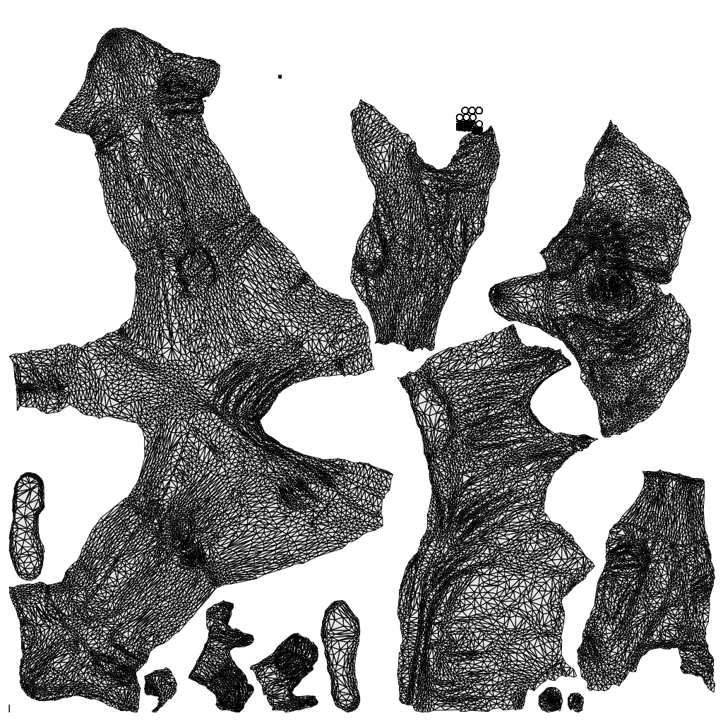 realistic 3D woman casual cycling, scanned archviz people for Blender and 3ds Max, wireframe top-down view
