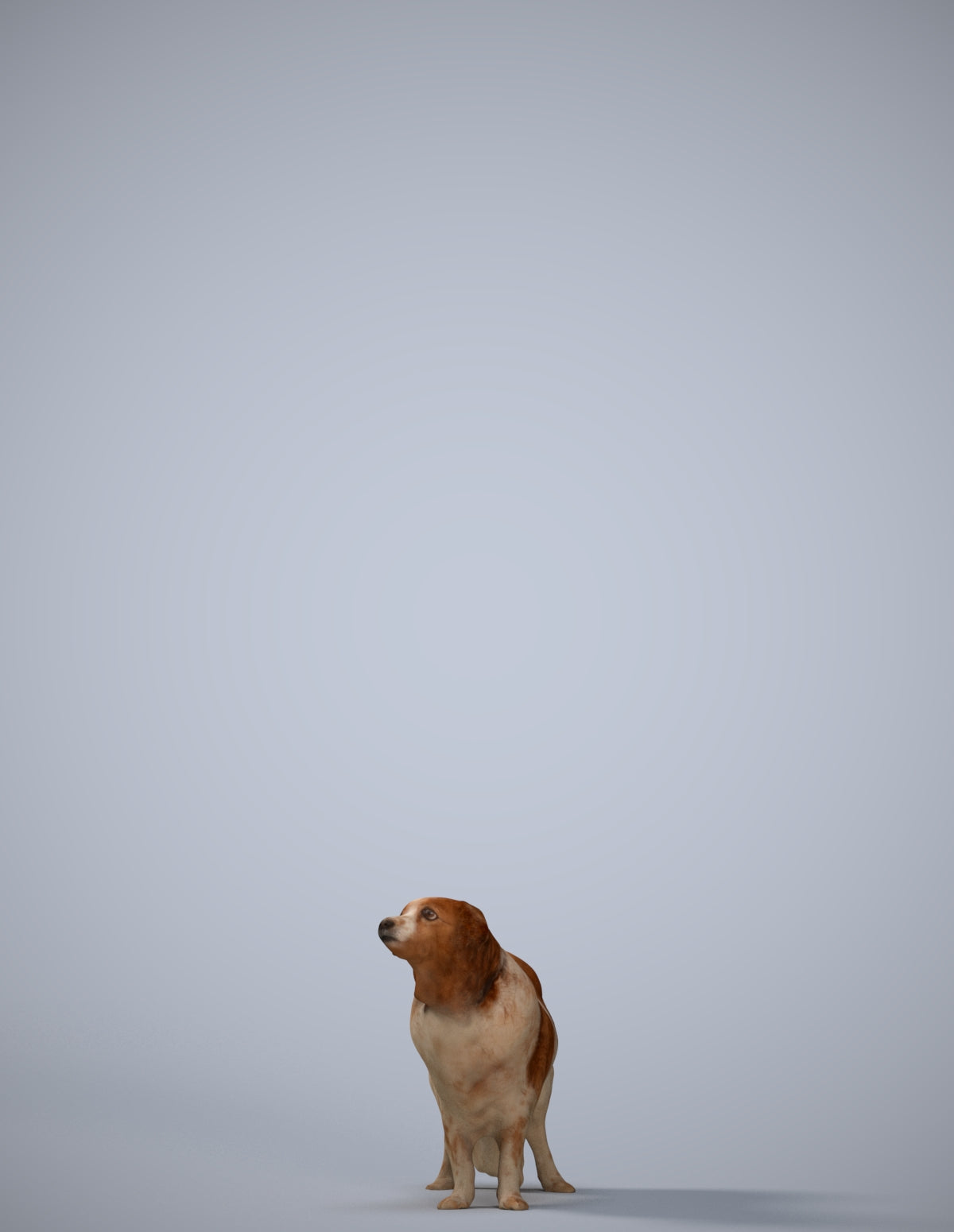 photogrammetry 3D person misc, realistic human model archviz FBX