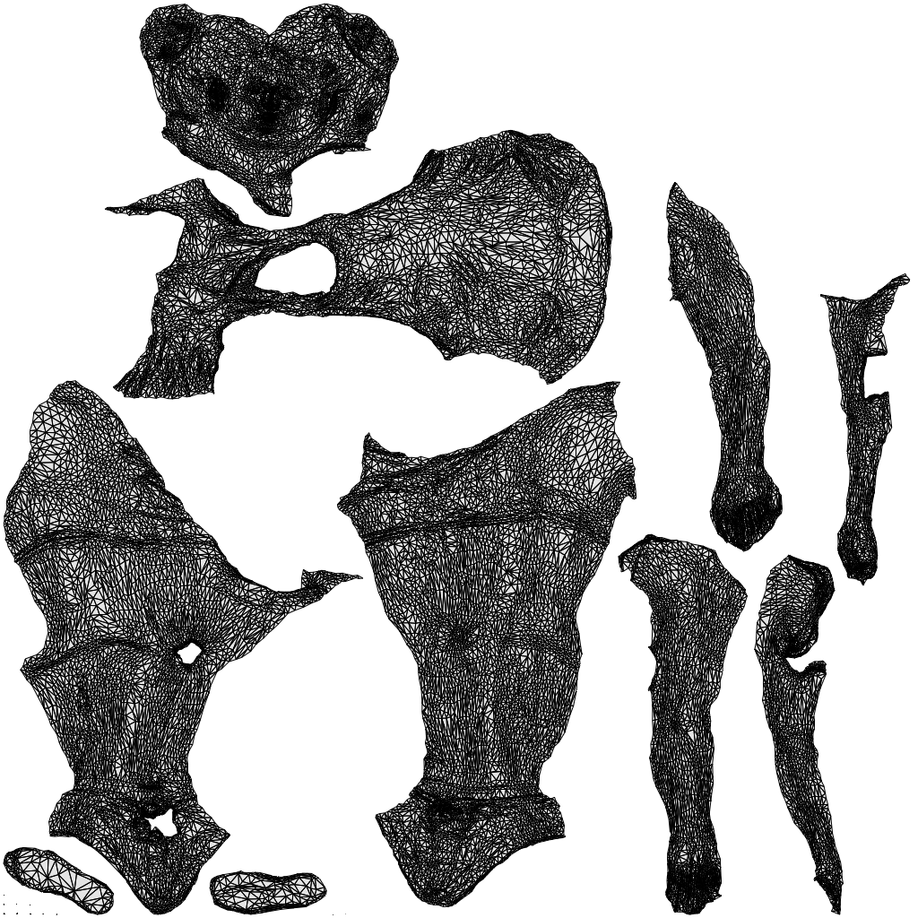 realistic 3D woman sport, scanned archviz people for Blender and 3ds Max, wireframe top-down view