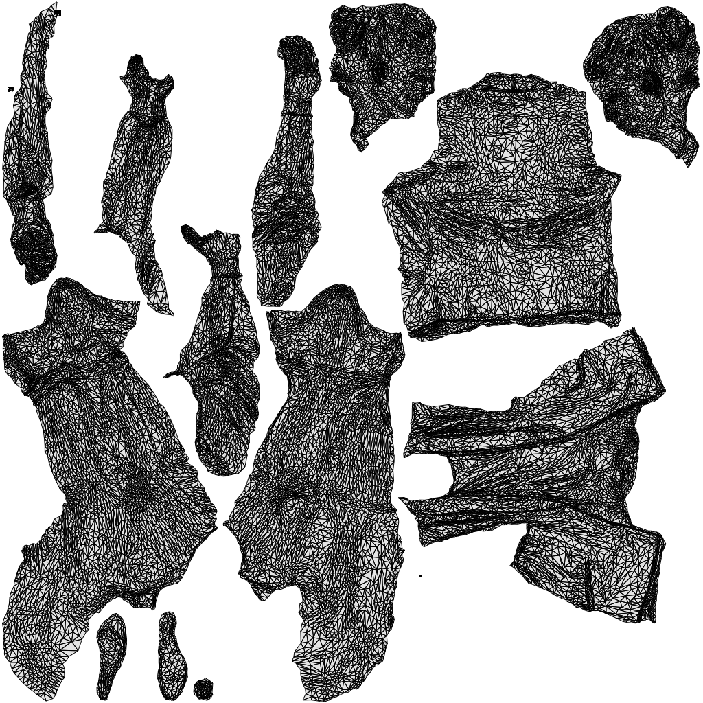 3D people model woman business cycling, scanned human for 3ds Max rendering, wireframe top-down view