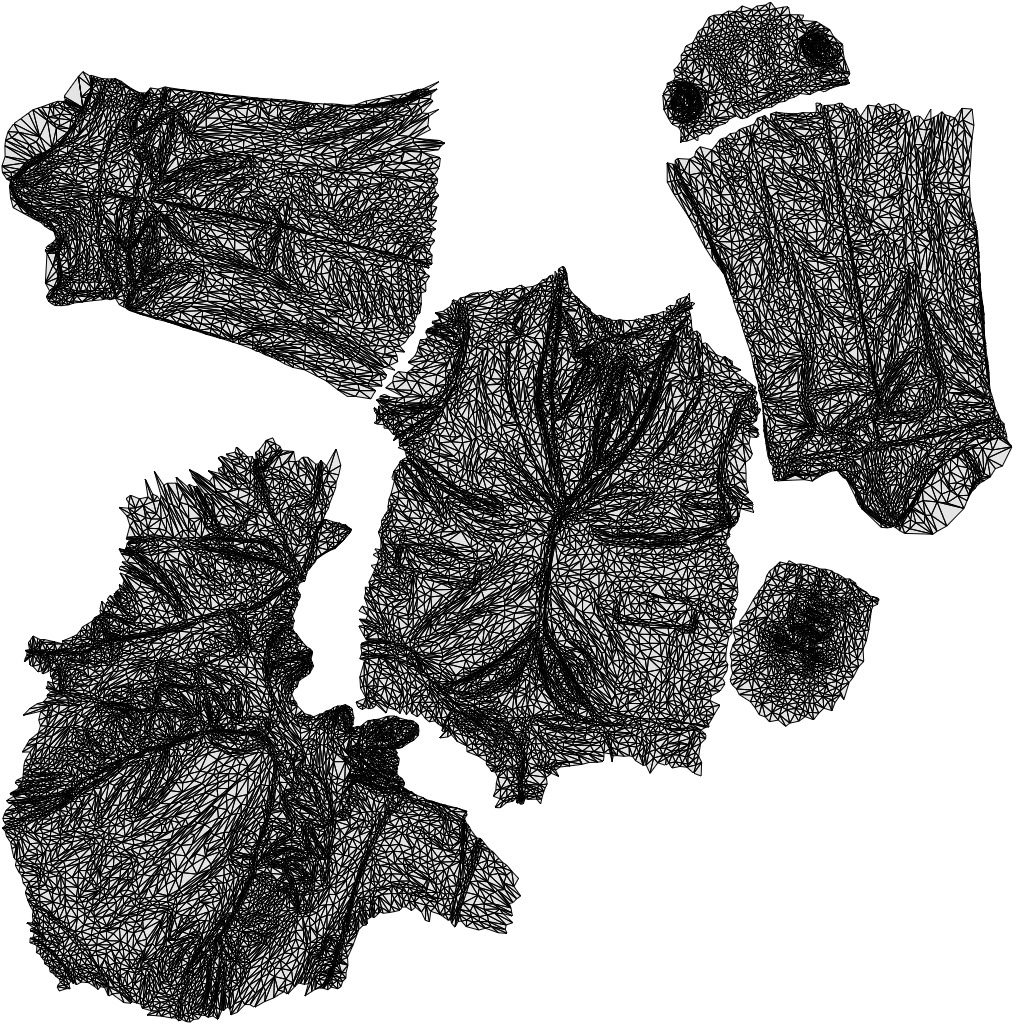3D people model senior man business mix, scanned human for 3ds Max rendering, wireframe top-down view