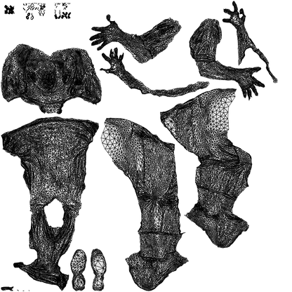 realistic 3D woman casual sitting, scanned archviz people for Blender and 3ds Max, wireframe top-down view