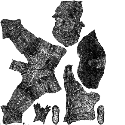 3D people model woman casual walking, scanned human for 3ds Max rendering, wireframe top-down view