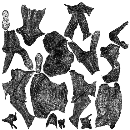 realistic 3D woman casual mix, scanned archviz people for Blender and 3ds Max, wireframe top-down view