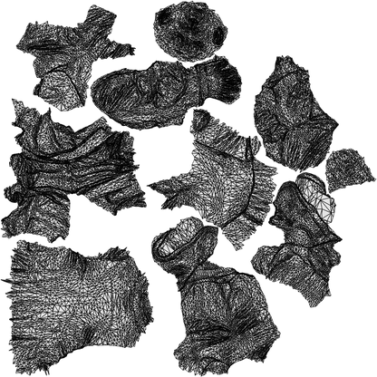 3D people model senior man business sitting, scanned human for 3ds Max rendering, wireframe top-down view