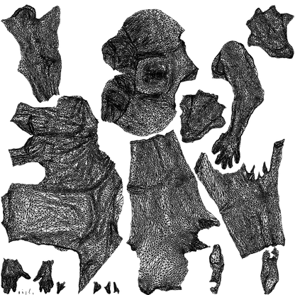 3D people model woman casual sitting, scanned human for 3ds Max rendering, wireframe top-down view