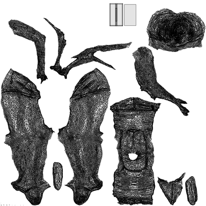 realistic 3D woman casual sitting, scanned archviz people for Blender and 3ds Max, wireframe top-down view