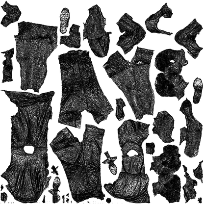 3D people model woman casual couple, scanned human for 3ds Max rendering, wireframe top-down view
