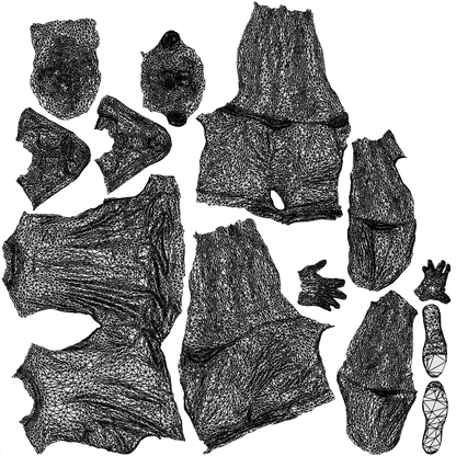 3D scanned man walking casual, photorealistic archviz people for Enscape and SketchUp, wireframe top-down view
