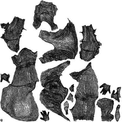 realistic 3D people woman casual sitting, render-ready for V-Ray and Corona, FBX OBJ, wireframe top-down view