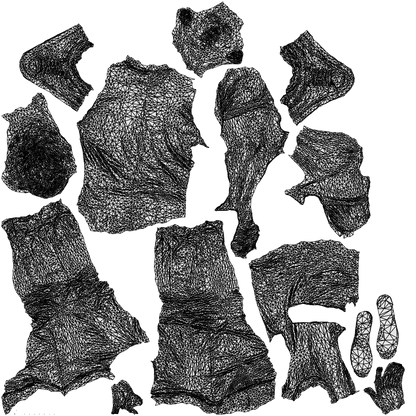 realistic 3D man casual standing, scanned archviz people for Blender and 3ds Max, wireframe top-down view