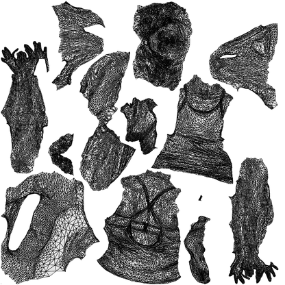 realistic 3D woman sport, scanned archviz people for Blender and 3ds Max, wireframe top-down view