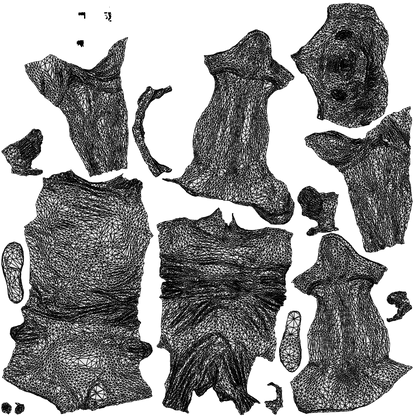 3D human model man casual mix, photogrammetry scanned person for archviz, wireframe top-down view
