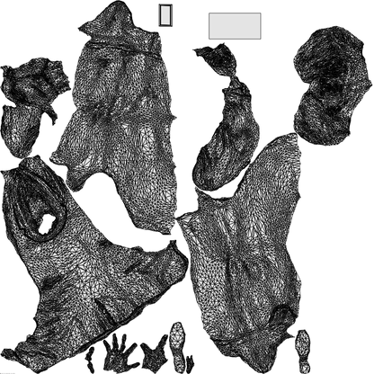 photogrammetry 3D woman business, realistic human model archviz FBX, wireframe top-down view