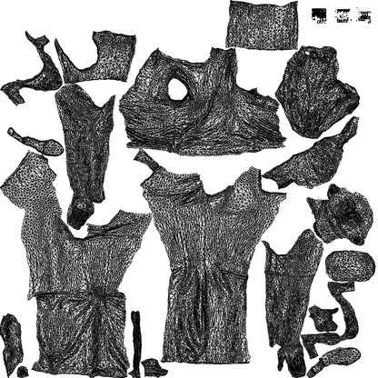 scanned 3D woman casual cycling, photogrammetry people for Enscape and V-Ray, wireframe top-down view