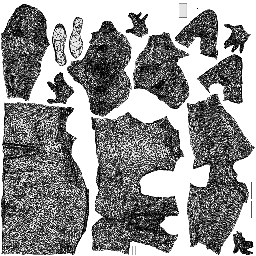 realistic 3D woman hospitality, scanned archviz people for Blender and 3ds Max, wireframe top-down view
