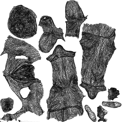 3D people model man business, scanned human for 3ds Max rendering, wireframe top-down view