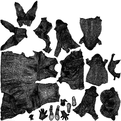 photogrammetry 3D girl casual kids, realistic human model archviz FBX, wireframe top-down view