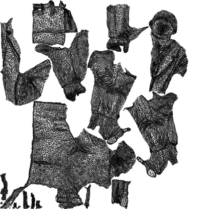 realistic 3D people woman business cycling, render-ready for V-Ray and Corona, FBX OBJ, wireframe top-down view