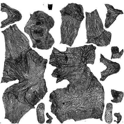photogrammetry 3D man casual cycling, realistic human model archviz FBX, wireframe top-down view