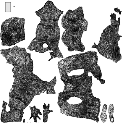 3D people model woman casual sitting, scanned human for 3ds Max rendering, wireframe top-down view
