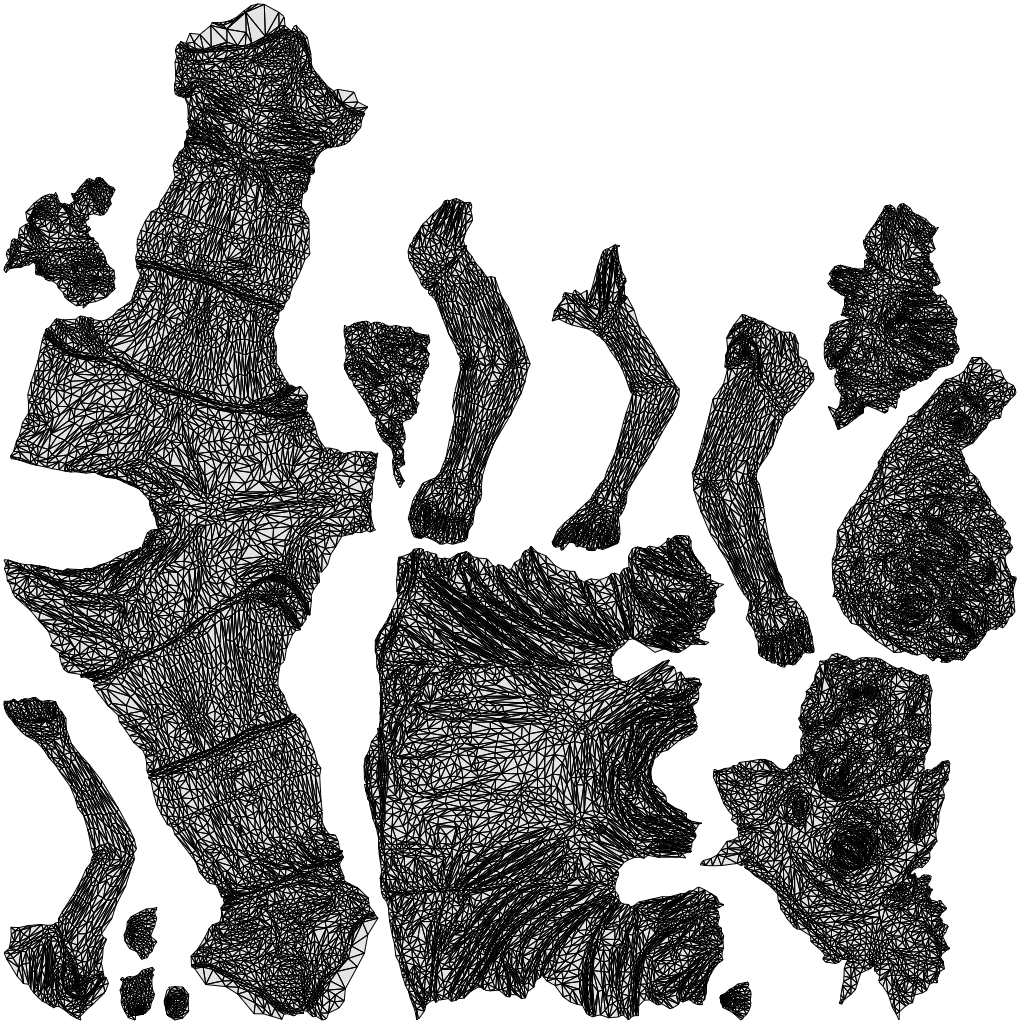 realistic 3D people woman sport, render-ready for V-Ray and Corona, FBX OBJ, wireframe top-down view