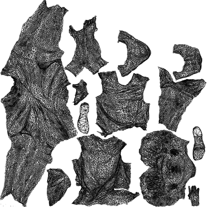 3D people model boy casual kids, scanned human for 3ds Max rendering, wireframe top-down view