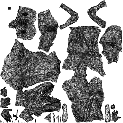 photogrammetry 3D man medical, realistic human model archviz FBX, wireframe top-down view