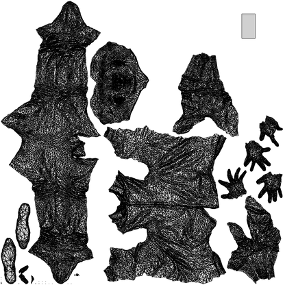 3D people model man casual standing, scanned human for 3ds Max rendering, wireframe top-down view