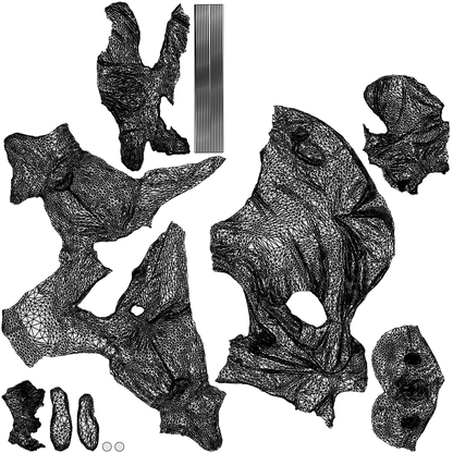 3D human model senior man business, photogrammetry scanned person for archviz, wireframe top-down view