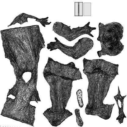 photogrammetry 3D man sport walking, realistic human model archviz FBX, wireframe top-down view