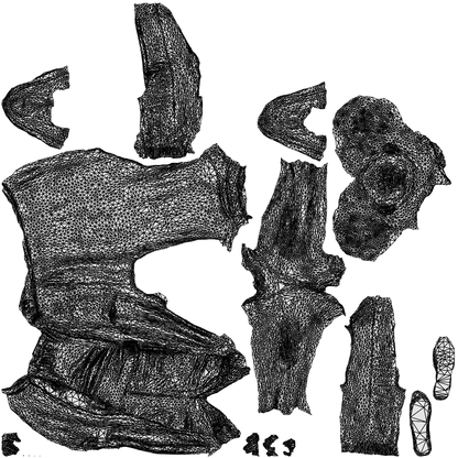 3D scanned woman walking casual, photorealistic archviz people for Enscape and SketchUp, wireframe top-down view