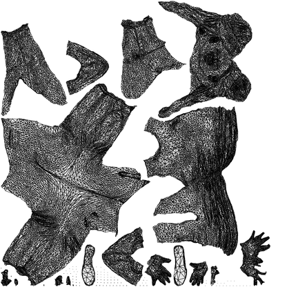 scanned 3D woman casual standing, photogrammetry people for Enscape and V-Ray, wireframe top-down view