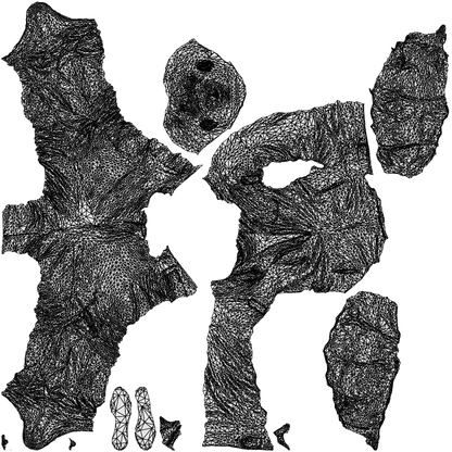 3D people model man casual standing, scanned human for 3ds Max rendering, wireframe top-down view