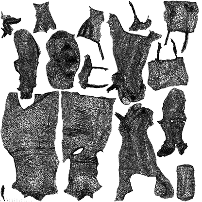 photogrammetry 3D woman business standing, realistic human model archviz FBX, wireframe top-down view