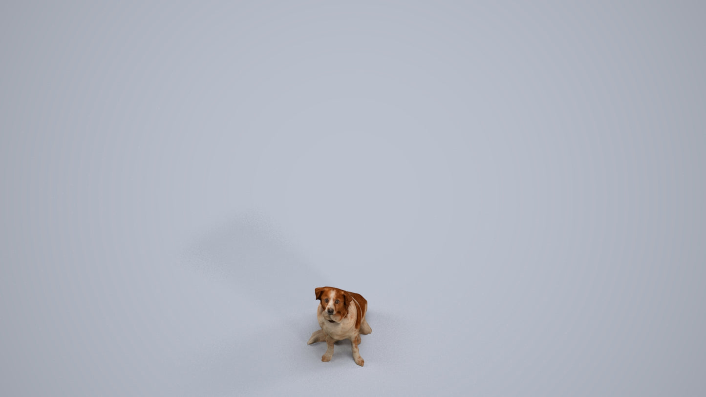 3D human model person misc, photogrammetry scanned person for archviz, back view render