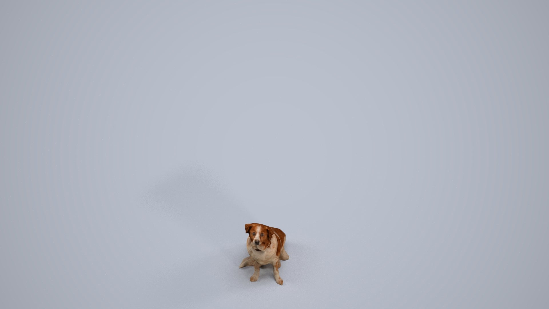 3D human model person misc, photogrammetry scanned person for archviz, back view render