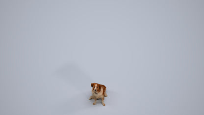 3D human model person misc, photogrammetry scanned person for archviz, back view render