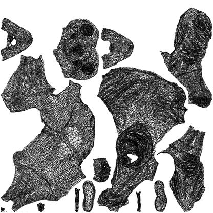 3D people model woman casual sitting, scanned human for 3ds Max rendering, wireframe top-down view