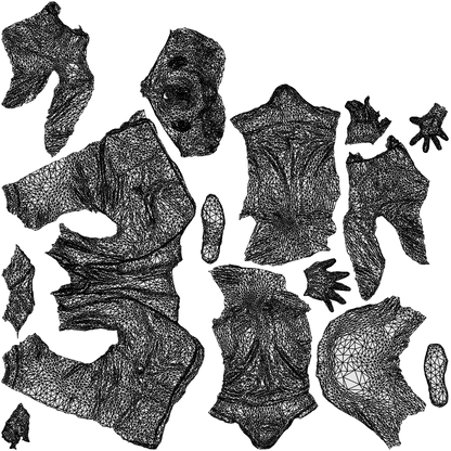 3D people model man business, scanned human for 3ds Max rendering, wireframe top-down view